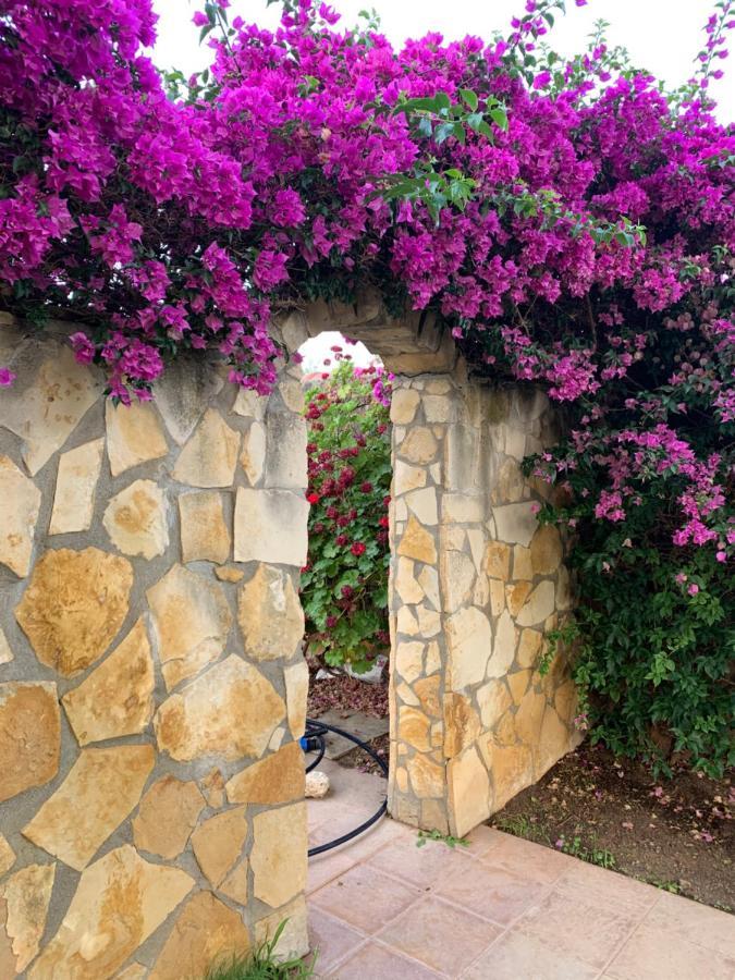 Villa Sunlight Sardegna Capitana Exterior foto